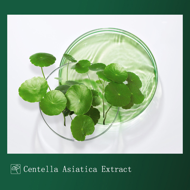 8pcs Centella Mud Mask Anti-Ac - огляд і ціна Dust Mask Construction